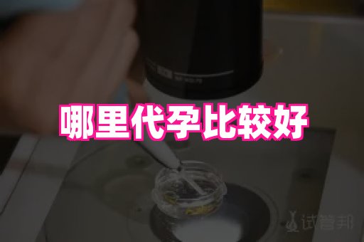 杭州助孕网站 2