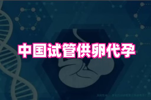 杭州助孕网站 3